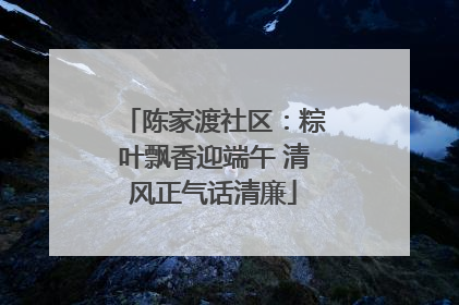 陈家渡社区：粽叶飘香迎端午 清风正气话清廉